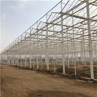 Gewächshaus aus Glas