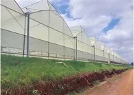 Gewächshaus mit Film, der das Sägezahndach bedeckt